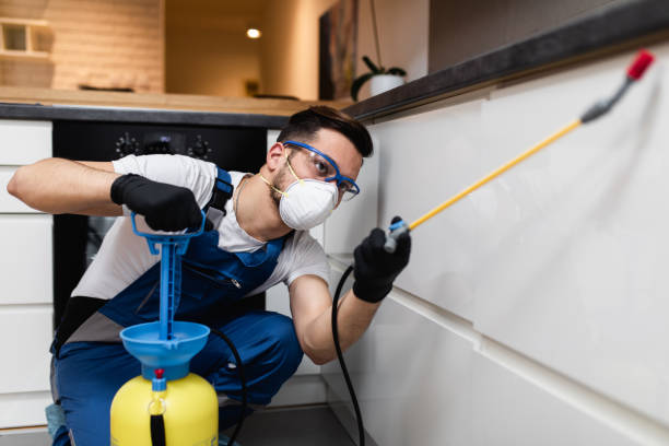 Best Best Pest Control Companies  in Kinston, NC