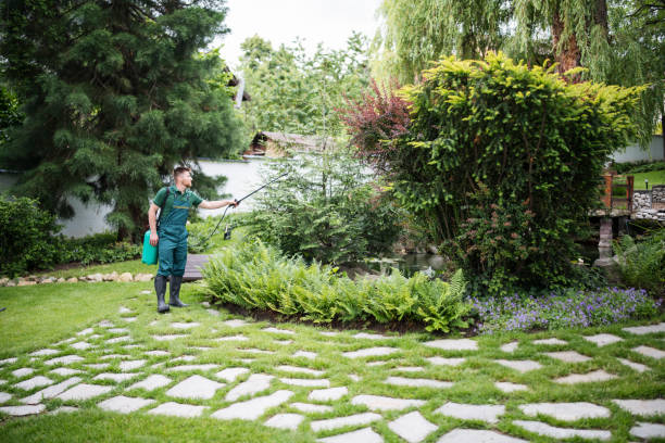 Professional Pest Control in Kinston, NC