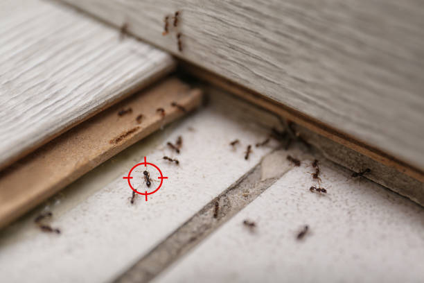 Kinston, NC Pest Control Company