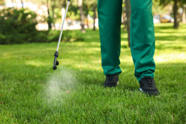 Best Residential Pest Control  in Kinston, NC