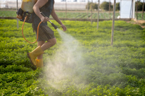 Best Commercial Pest Control Services  in Kinston, NC