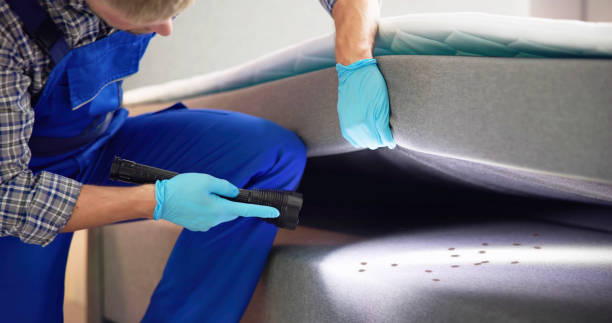 Best Local Pest Control Services  in Kinston, NC