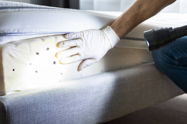 Best Pest Inspection Near Me  in Kinston, NC
