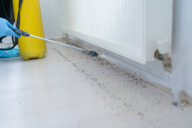Best Pest Control for Businesses  in Kinston, NC