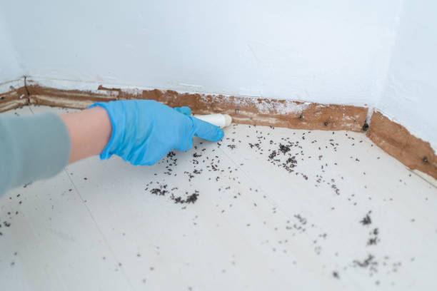Best Emergency Pest Control  in Kinston, NC